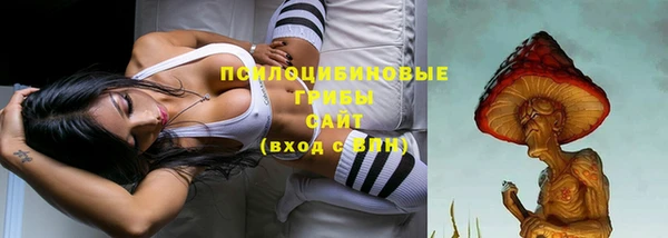 мдпв Сураж
