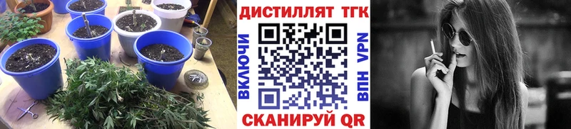 где купить   blacksprut маркетплейс  ТГК Wax  Михайловск 
