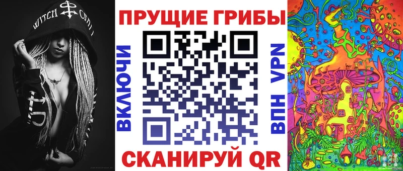 купить  цена  это официальный сайт  Псилоцибиновые грибы мухоморы  Михайловск 